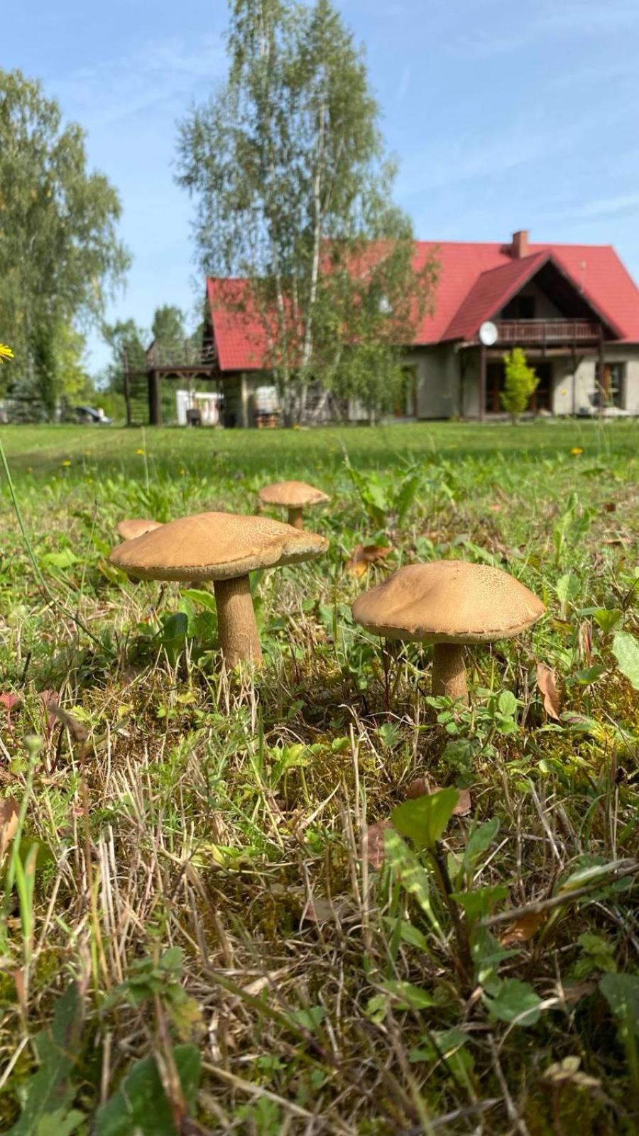 Anielski Zakatek Kolonia Rybacka Экстерьер фото
